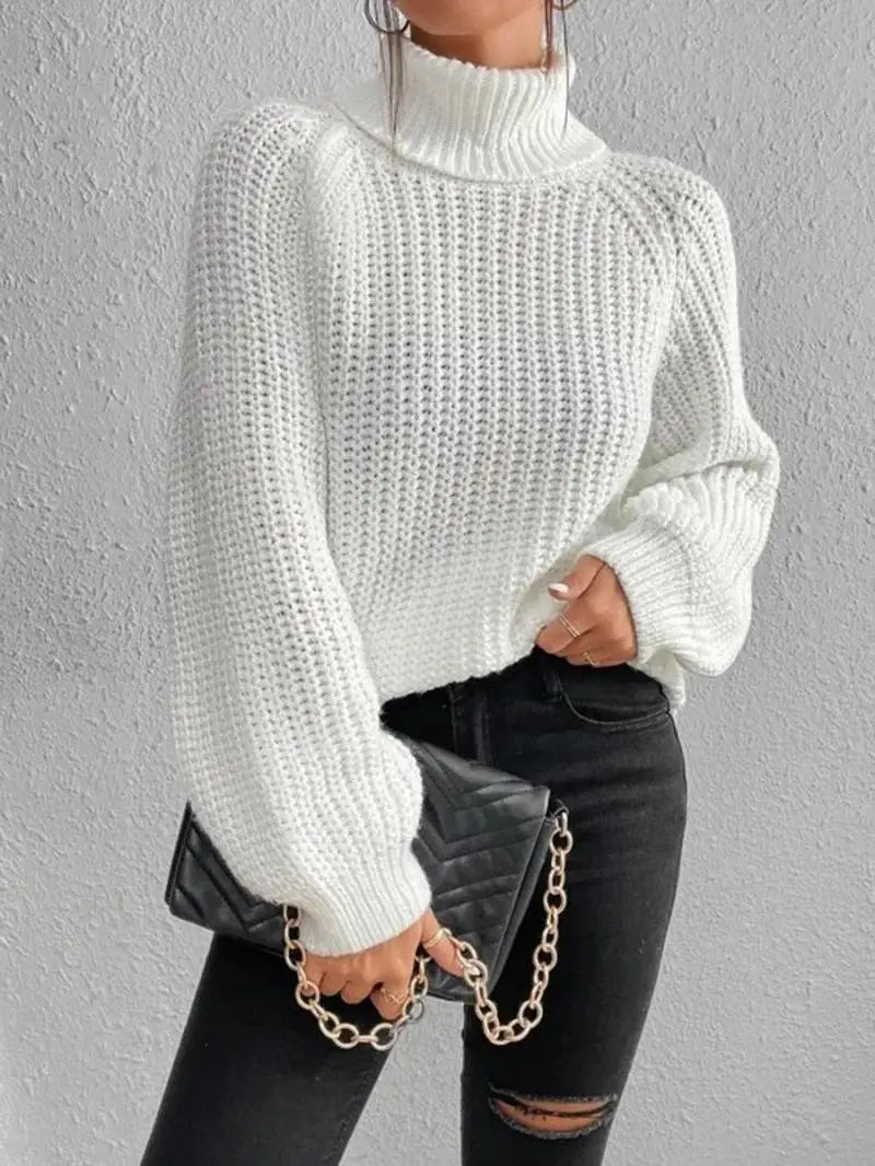 Mia™ - Comfortable Turtleneck Long Sweater